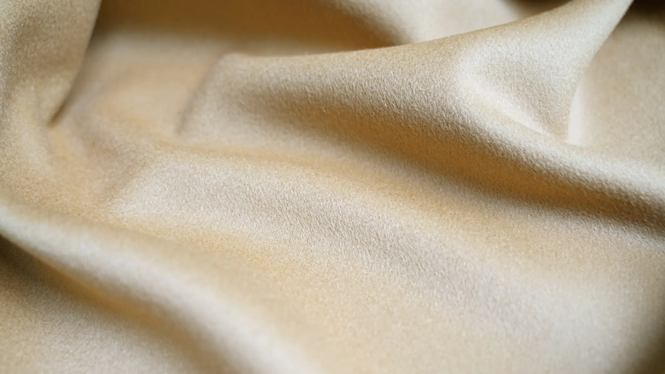 hanb wool bg